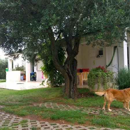 Apartment Free Parking Big Garden Peroj Esterno foto